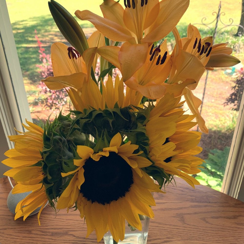 Meet your Posher, Kathleen